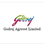 Untitled design - 2025-10-21T135650.127