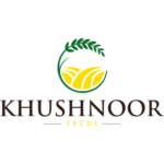 Untitled design - 2025-10-21T152148.748